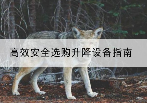 凌河升降货梯厂家推荐-*安全选购升降设备指南