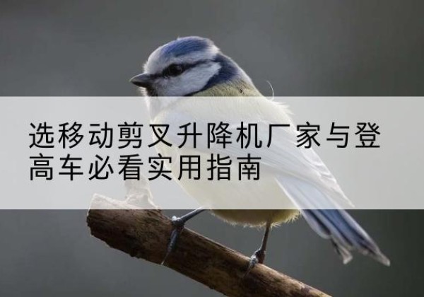 凌河电动升降机厂家-选移动剪叉升降机厂家与登高车必看实用指南
