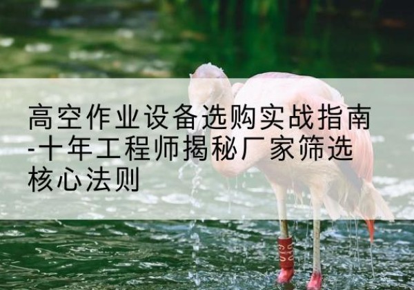 凌河剪叉式升降机厂家-高空作业设备选购实战指南-十年工程师揭秘厂家筛选核心法则